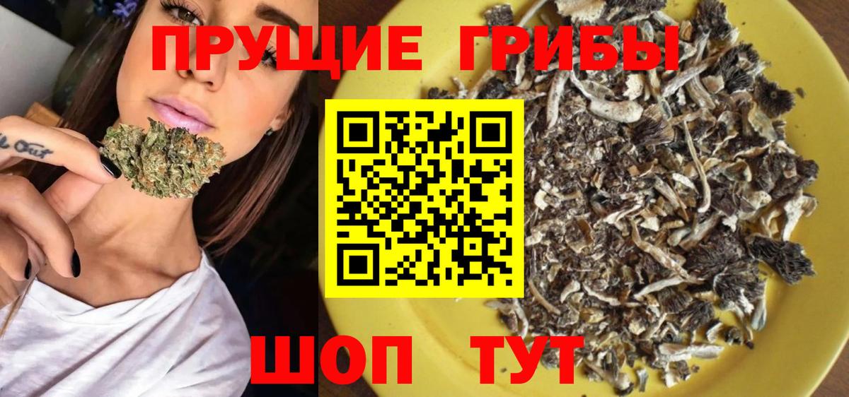 Галлюциногенные грибы Psilocybine cubensis Новоуральск